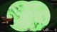 IT IS WEDNESDAY MY DUDES // #ad !koro !sensoryboost / !kofi