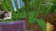 Sneaky Shenanigans - Lifesteal SMP - 15 !bald ***