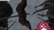【first time morrowind, no spoilers】all the npcs are so mean :(