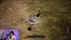 NEW MMORPG ETERNAL TOMBS MMO TEST - REQ TO PLAY ON STEAM AND YOU SHOULD GET ACCESS❗!exitlag !factor