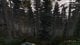 Bonus FridayZ! Chernarus Solo... !insta !pc !merch