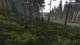 Solo Chernarus for now. !insta !pc !merch