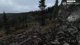 Chernarus Solo today! !insta !pc !merch