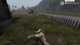 Chernarus -Trialing 1440p again! !pc !merch