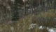 DayZ Survival - Day 1563