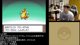 ポケモンプラチナ 人生縛り 起死回生の４週目