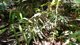 SURVIVING THE AMAZON RAINFOREST