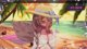 [live asmr] catfox cuddles in Summer outfit !TeamWater | Day 51 !subathon ALL GOALS REACHED ₊˚.✿ Annual Stream Goal: DAY 113/200