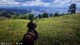 NED KERRIGAN | RanchRP