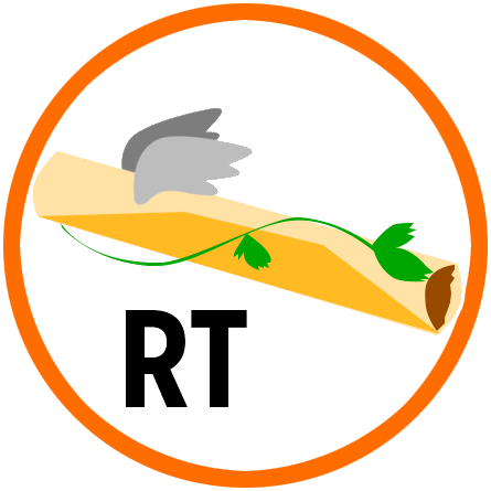The Rising Taquitos