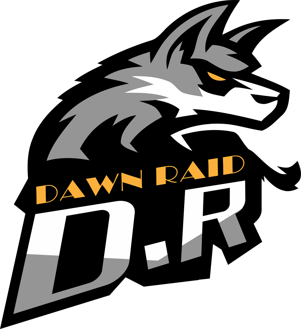 Dawn Raid