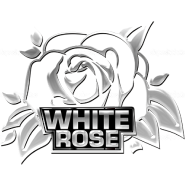 White Rose