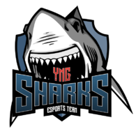 YNG Sharks