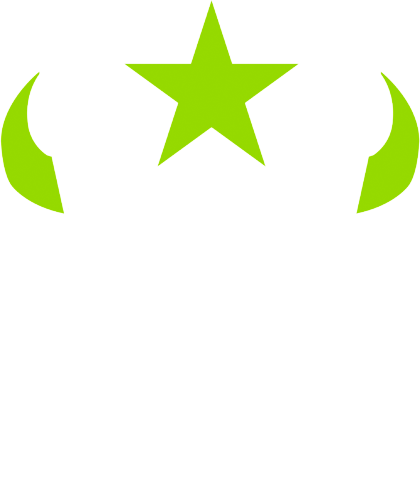 Houston Outlaws