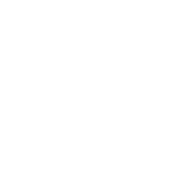 fish123