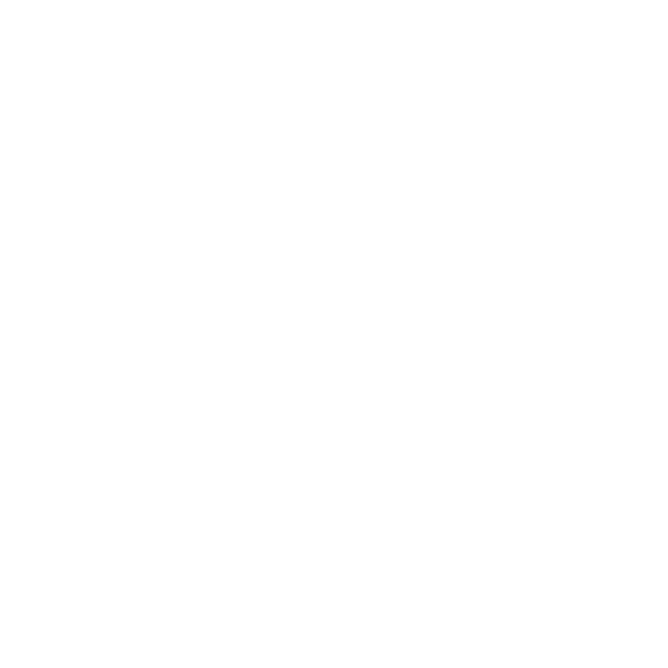 EnVyUs Academy