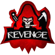 Revenge Team