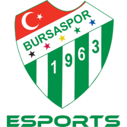Bursaspor Esports