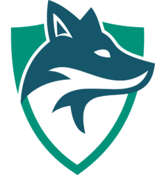 Skyfoxes logo