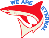 We Are Eternal Gaming