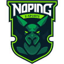 NoPing E-Sports