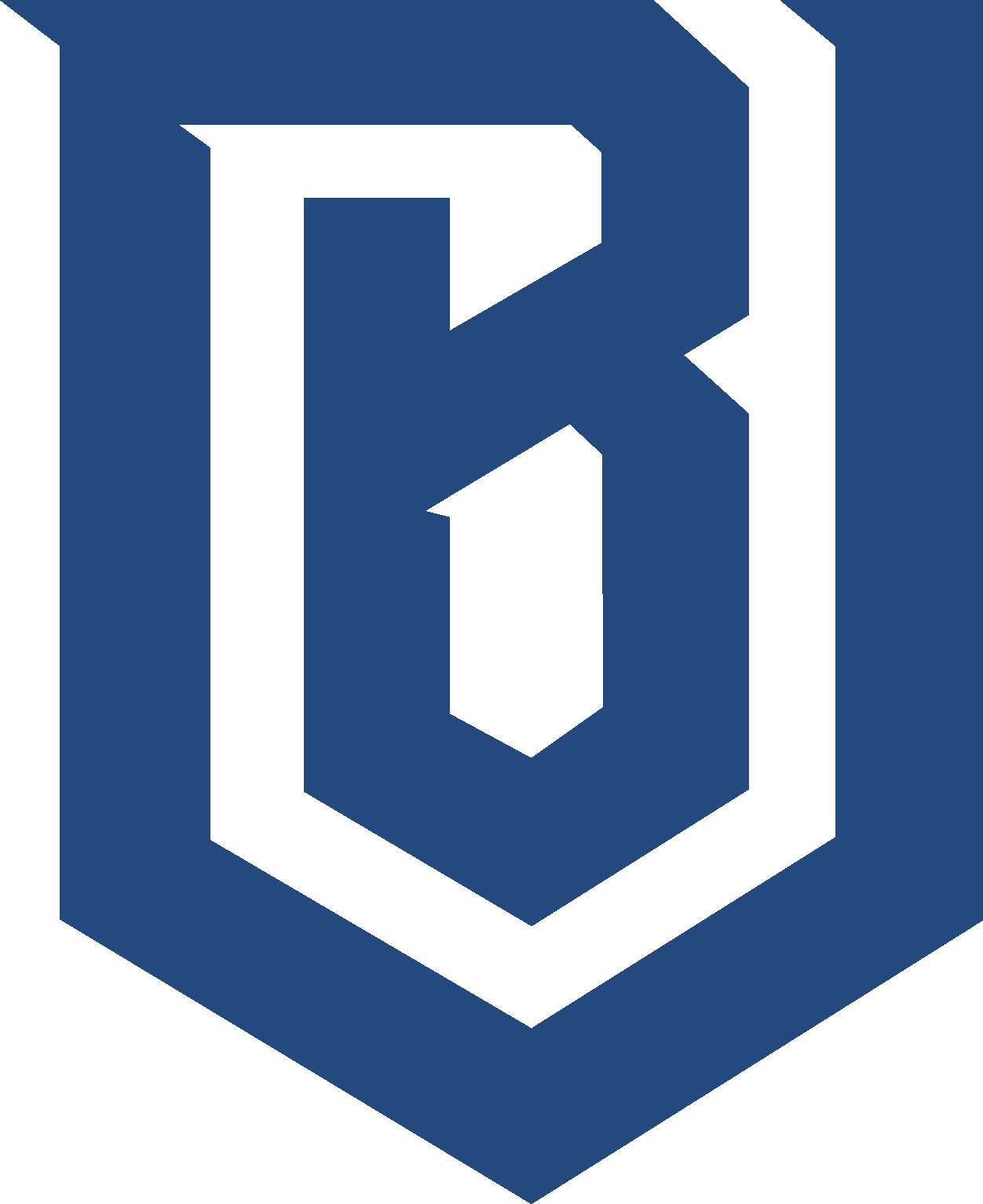 Boston Uprising