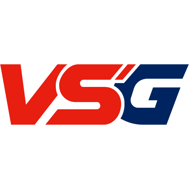 Team VSG