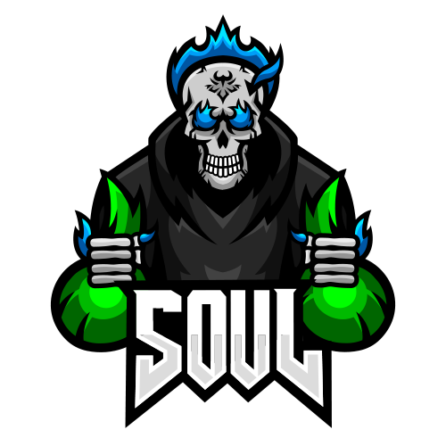 Team SouL