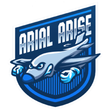 Arial Arise