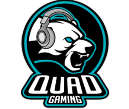 Quad Gaming