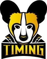 Team Timing