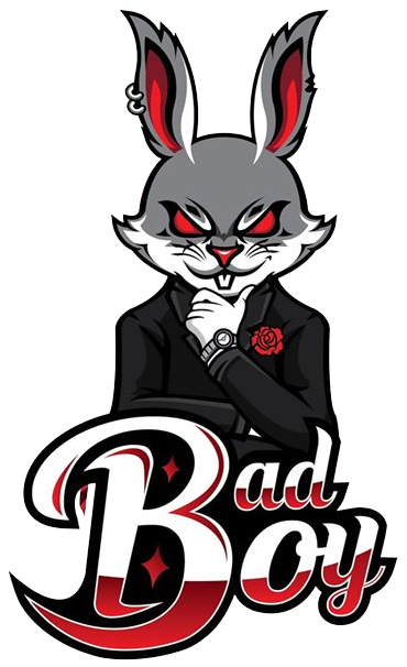 BadBoy