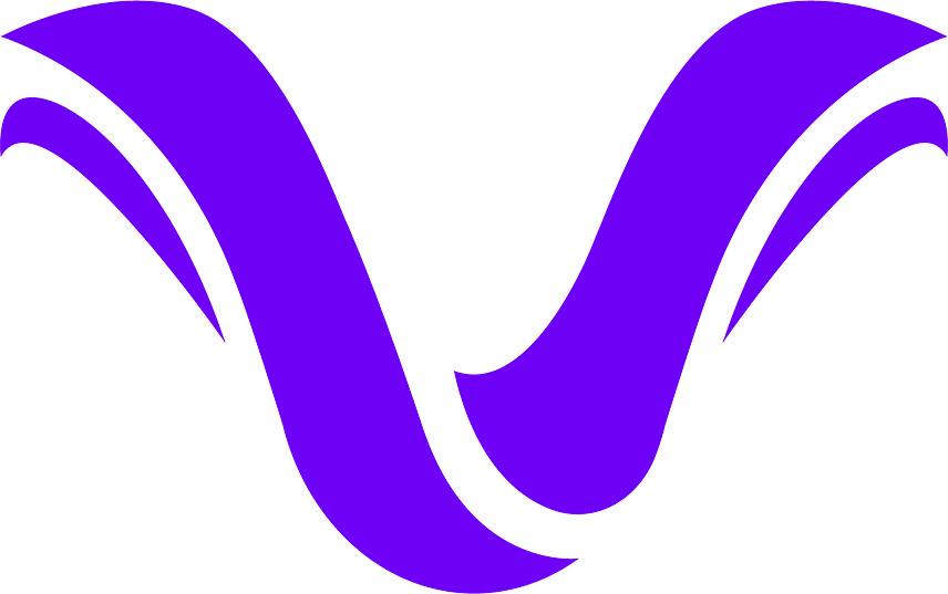 Team Vanish