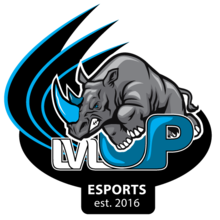 Level Up esports