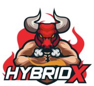 HybridX