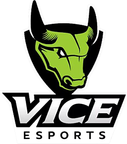 Vice Esports