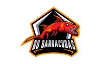 Bournemouth Barracudas