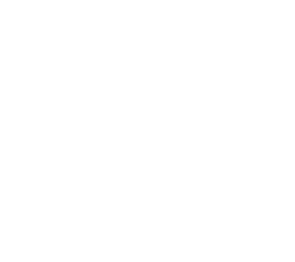 Team SHIFT