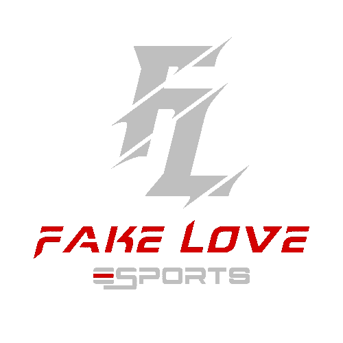 Fake Love E-Sports