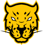 Jaguares Esports