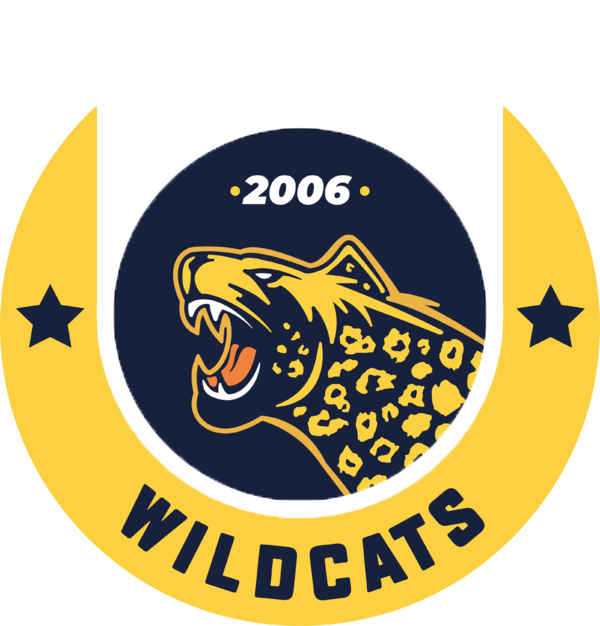 İstanbul Wild Cats
