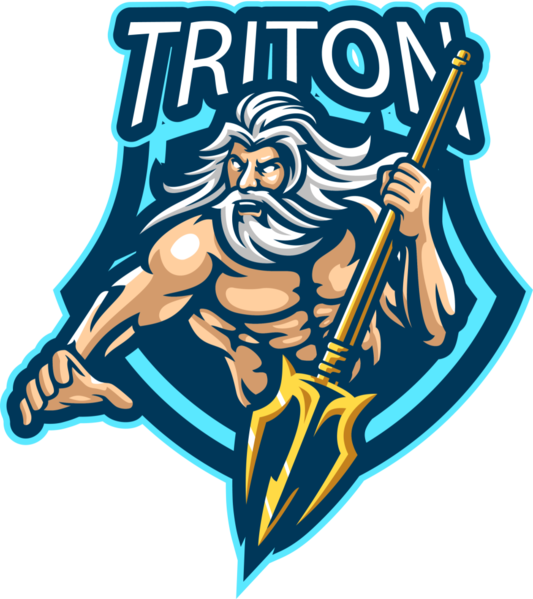 Team Triton