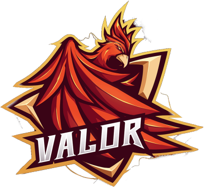 Team Valor
