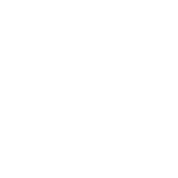 Team Whales