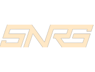 SNRG Esports