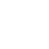 Ruthless Aggressive Warriors