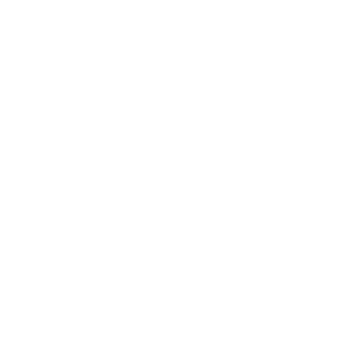 ZETA DIVISION logo