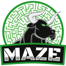 Maze Gaming
