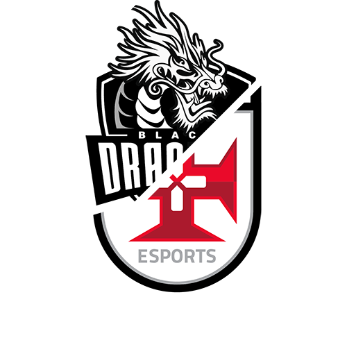 Black Dragons Vasco