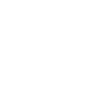 Janus Esports